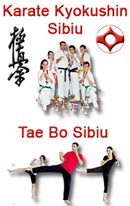 Club Sportiv Terrasportika Sibiu