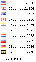 visitors by country counter