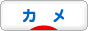 にほんブログ村 その他ペットブログ カメへ