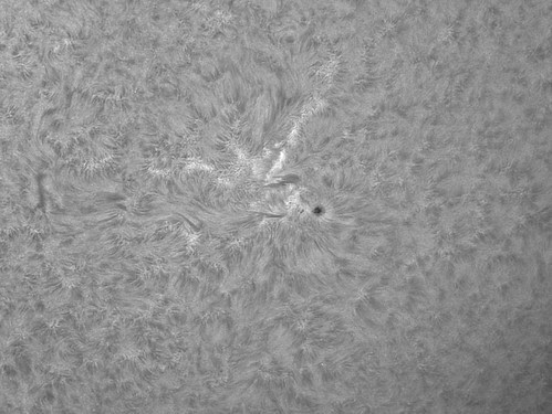 ar11525 by Mark Townley