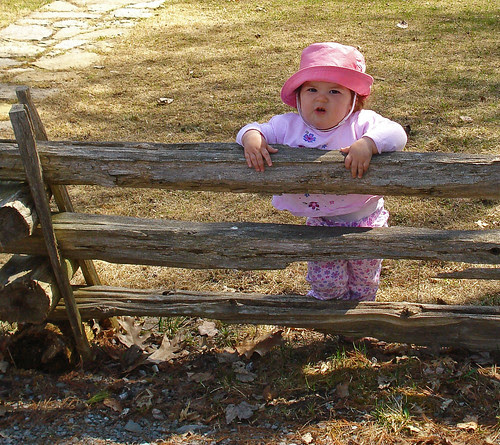 Cuteness