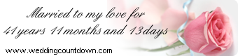 wedding countdown
