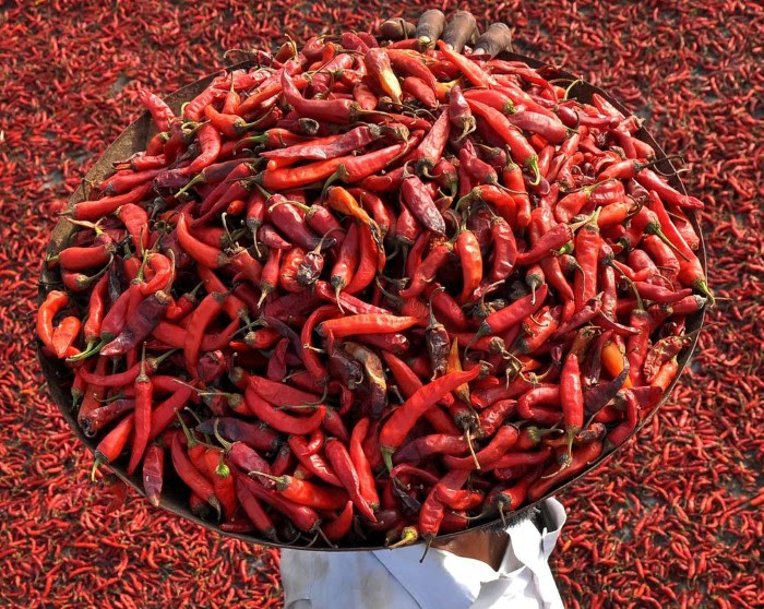 صور من حول العالم