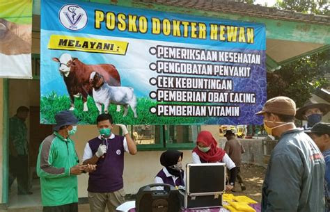 dokter hewan buka posko pengecekan kesehatan gratis beritalimacom