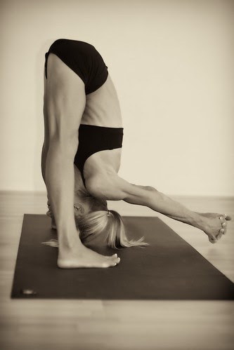 Prasarita Padottanasana C | portraityogi | Flickr