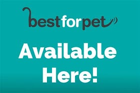 The Best For Pets In 2023 - Making Life Easier For Pet Owners