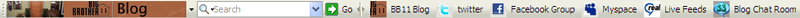Download the Big Brother 11 Blogs FREE Toolbar!