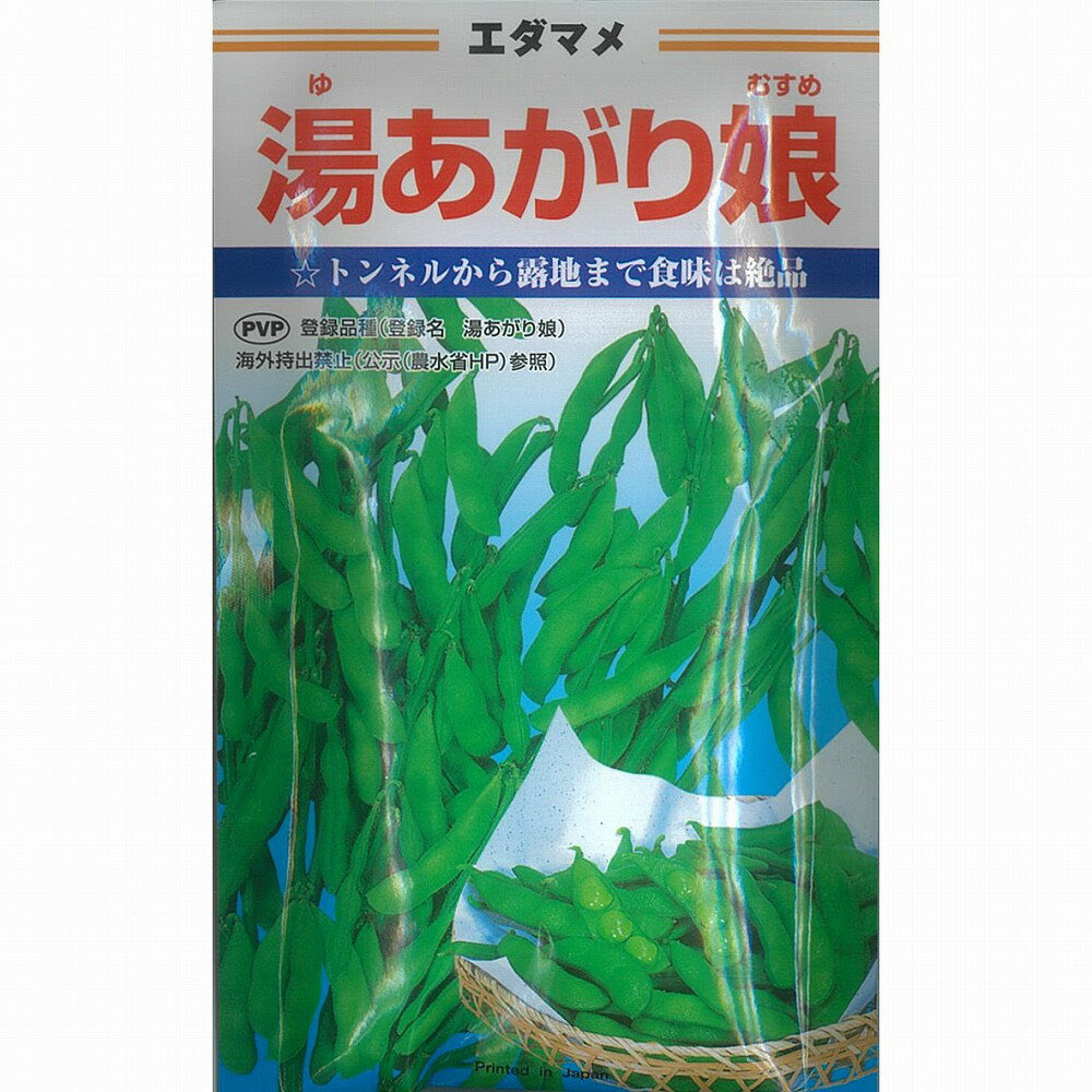 夏のビールのお供に プランターでエダマメ 枝豆 栽培 農業 ガーデニング 園芸 家庭菜園マガジン Agri Pick