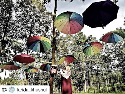 wisata kampung pelangi palas lampung selatan