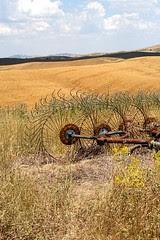 Campagne senisesi