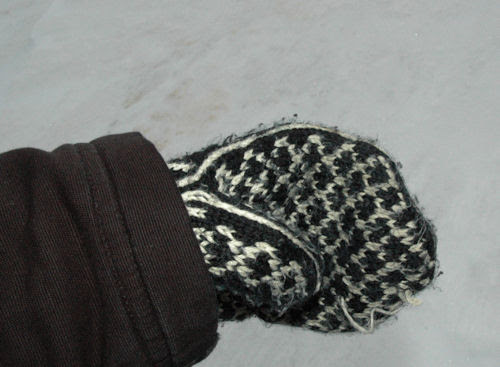 mittens :: votter