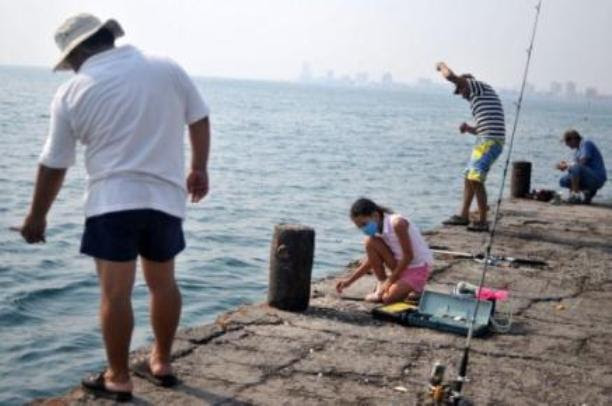 thousands of dead fish