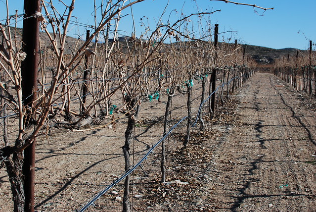 Autumn's 30th Birthday