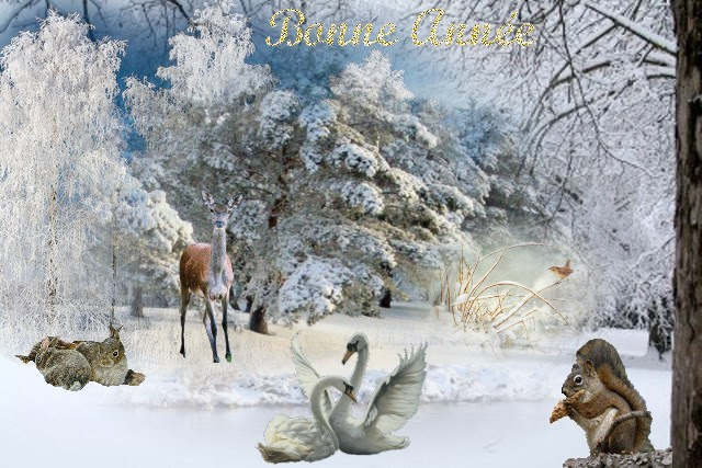 Paysage neige Bonne annÃ©e
