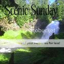 Scenic Sunday