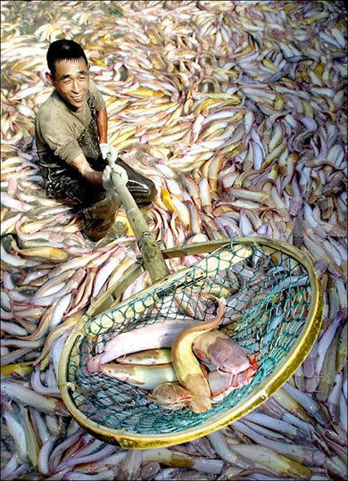 peche miraculeuse chine