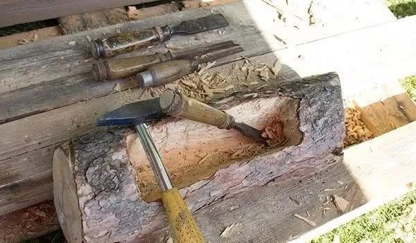 花友制作的10个用木头制作的多肉植物盆栽木桩变植物景观 农讯网 农业科技网站nongxun Net