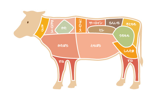 牛肉の部位 公益財団法人日本食肉流通センター
