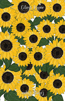 Sunflower 100% Plantable Wrapping Paper