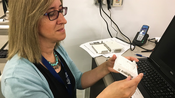 Mine Cicek, an assistant professor at the Mayo Clinic, processes samples for the All of Us program.