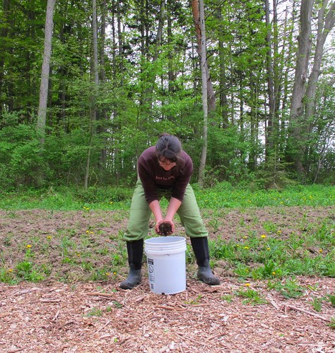 mixing up a meadow