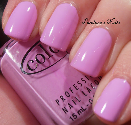 1 color club wicker park (2)