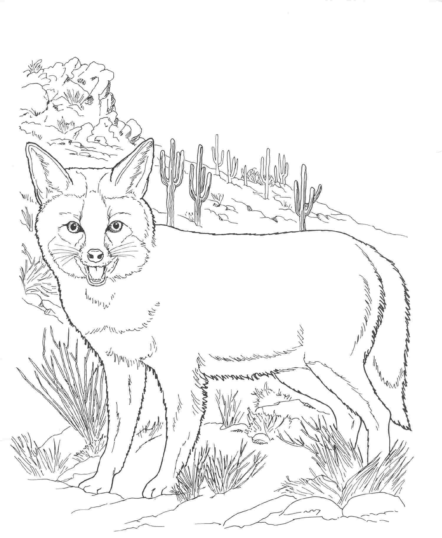 free printable fox coloring pages for kids
