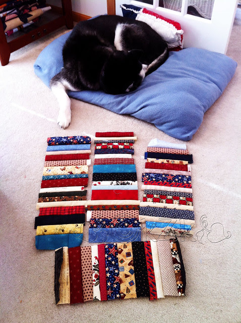 IMG_6417 Scrappy Not-Really-A-Jelly-Roll Quilt