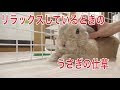画像をダウンロード うさぎ 嬉しい時 耳 284676-うさぎ 嬉しい時 耳