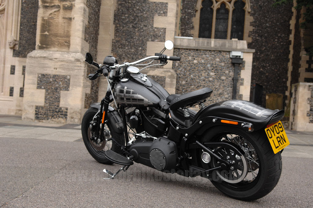Harley Cross Bones 2009