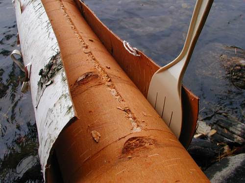 Top Birchbark Canoe Images for Pinterest Tattoos