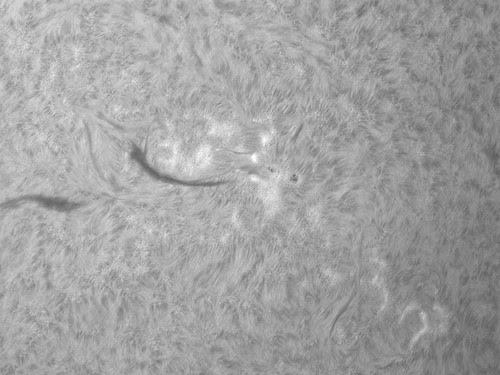 ar11755 ha by Mark Townley