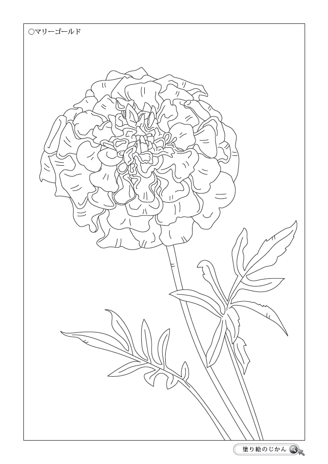 11月の花ぬりえ 塗り絵のじかん