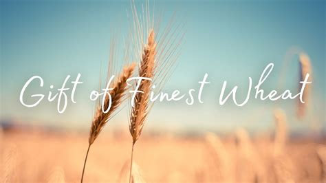 Pdf Download gift of finest wheat lyrics iBooks PDF