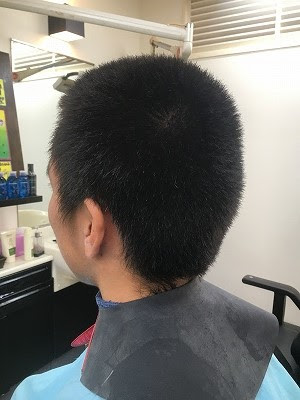 髪型 坊主伸びかけ Khabarplanet Com