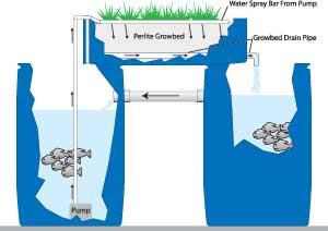 Simple aquaponics system: Aquaponics for office Info