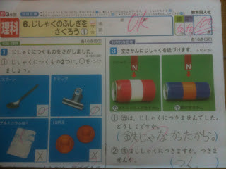 小学三年生理科テスト100点 向田塾