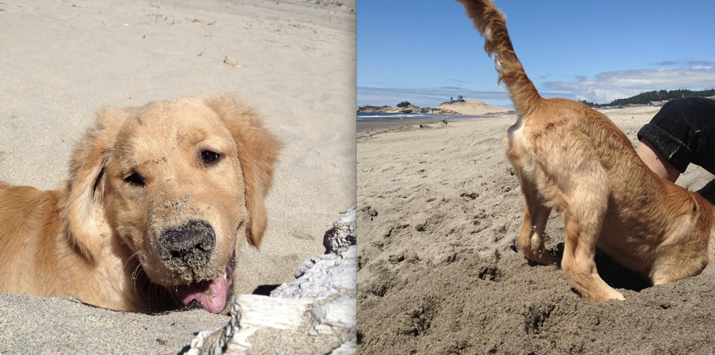 beachday
