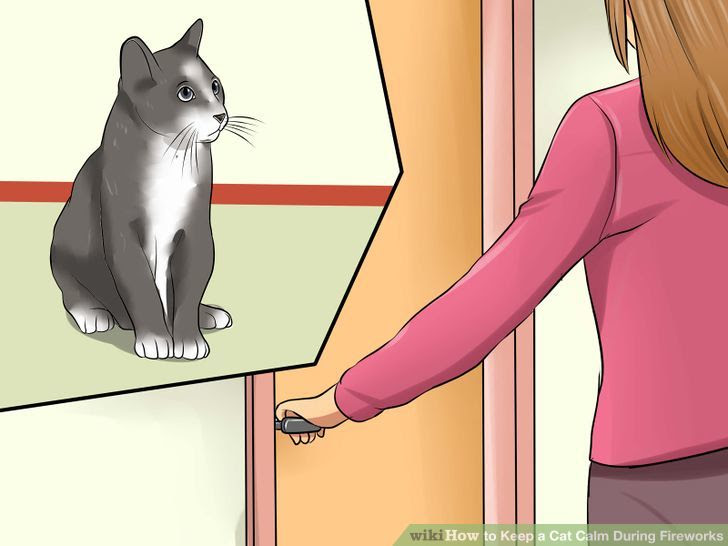 Keep a Cat Calm During Fireworks Step 1 Version 2.jpg