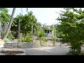 glide cam hd 1000+nikond3100 test footage