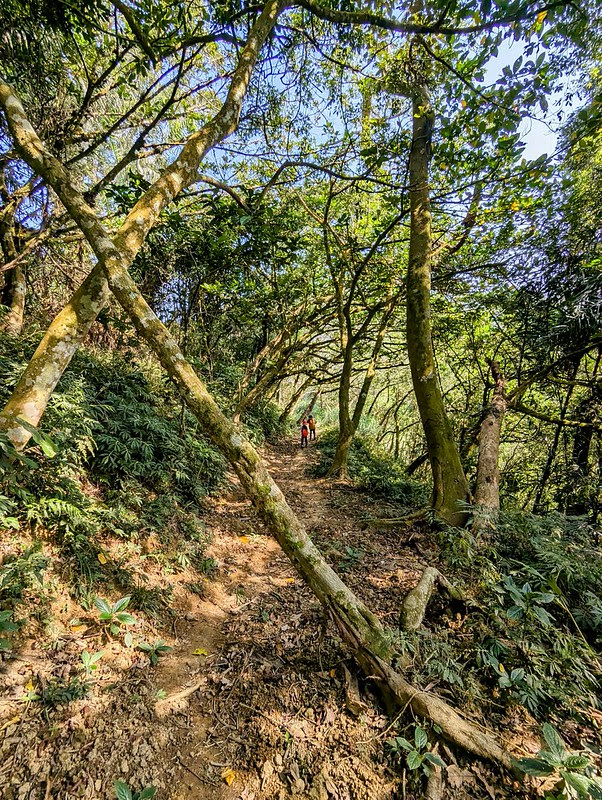 PXL_20240228_020355094~2