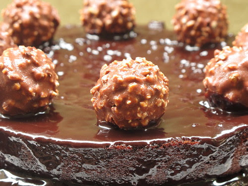 fest chocolate cake