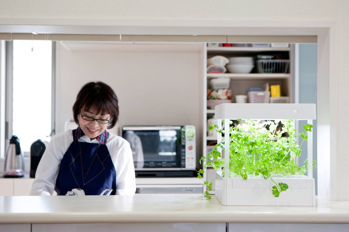 室内栽培のいいところ お部屋で育てる