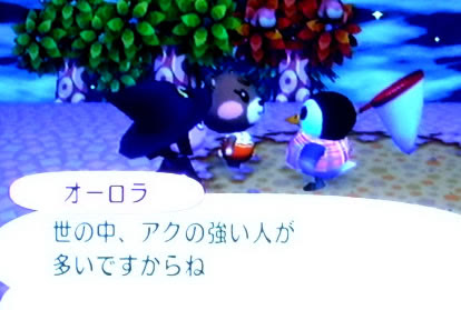 戌が西向きゃ 尾は東 リセットさんがそろそろウザイ どう森wii 3