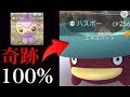 √100以上 ポケモン ルンパッパ 色違い 908198-ポケモン ルンパッパ 色違い