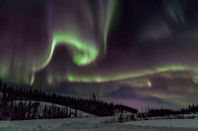 DPS Aurora Article Image 12