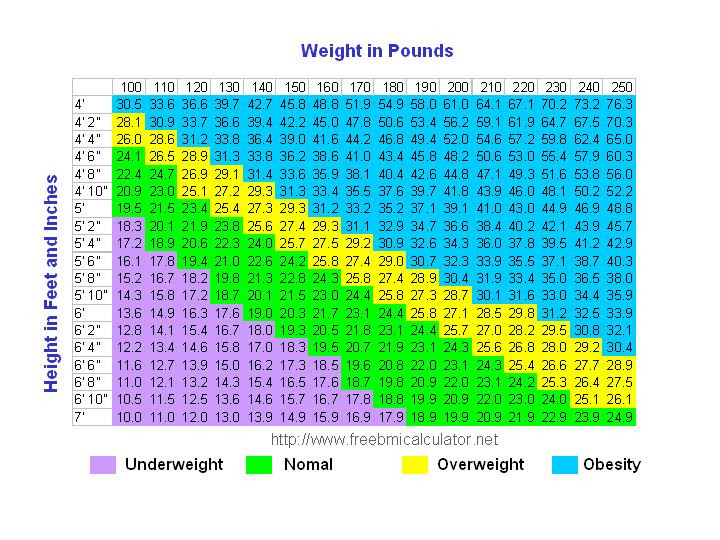 Excellent BMI Chart 720 x 540 · 107 kB · jpeg