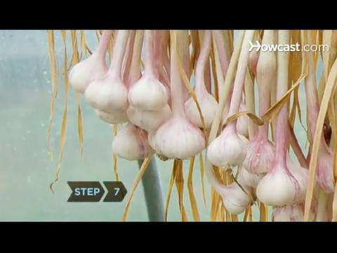 Tips Jimat Belanja Dapur