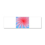 Car Magnet 10 x 3