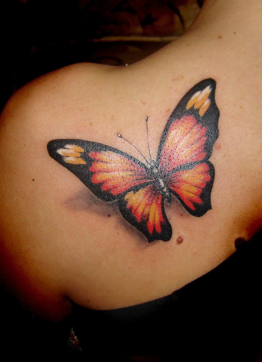 Butterfly Tattoos Designs, Ideas and Meaning | Tattoos For You
